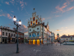 Osamotniony Ratusz w Rzeszowie