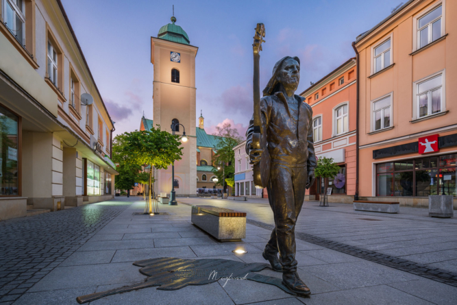 Pomnik Tadeusza Nalepy w Rzeszowie, Podkarpackie, Polska