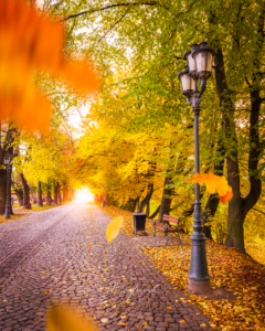 Pod Kasztanami autorstwa Mateusza Głuszek